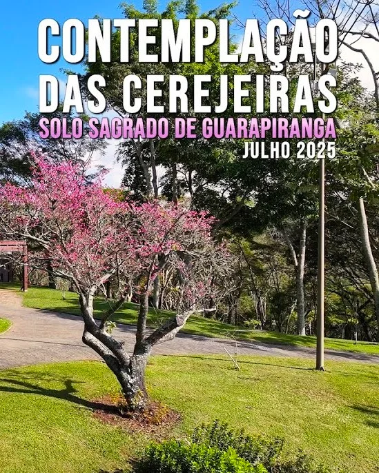 Capa do vídeo “Contemplação das Cerejeiras - Solo Sagrado de Guarapiranga  | Julho / 2025”