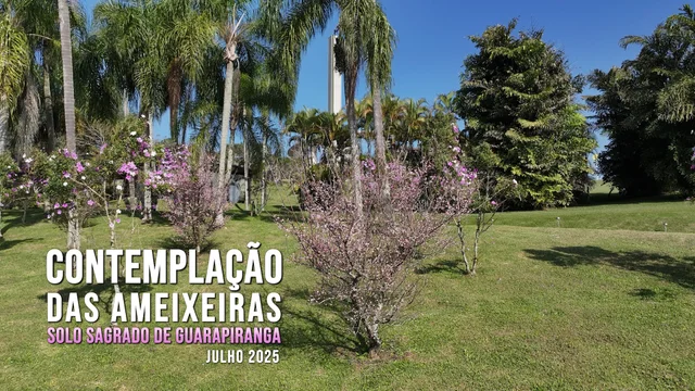 Capa do vídeo do “Contemplação das Ameixeiras - Julho 2025 | Solo Sagrado de Guarapiranga”.