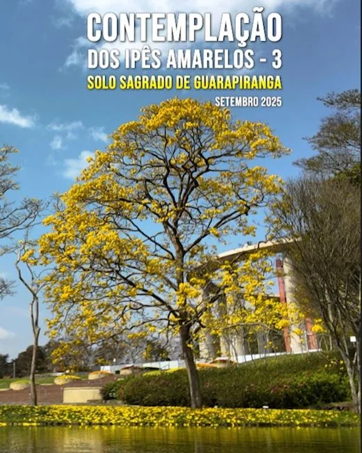Capa do vídeo “Contemplação dos Ipês Amarelos - Solo Sagrado de Guarapiranga | Setembro / 2025”