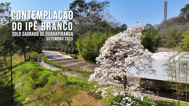 Capa do vídeo “Contemplação do Ipê Branco no Solo Sagrado | Setembro / 2025”