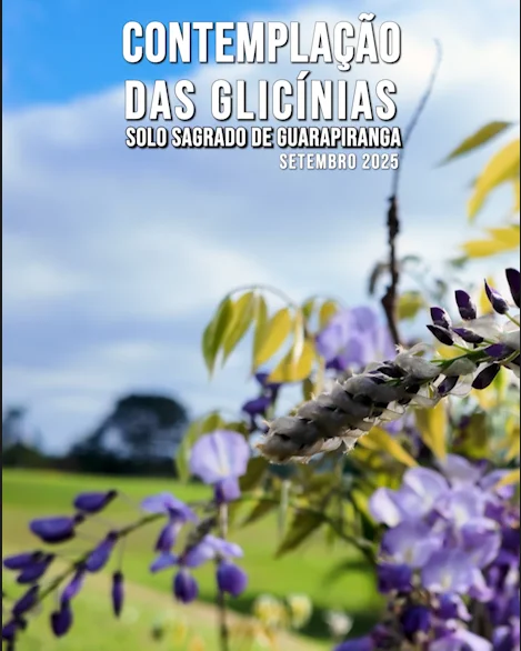 Capa do vídeo “Contemplação das Glicínias no Solo Sagrado | Setembro / 2025”