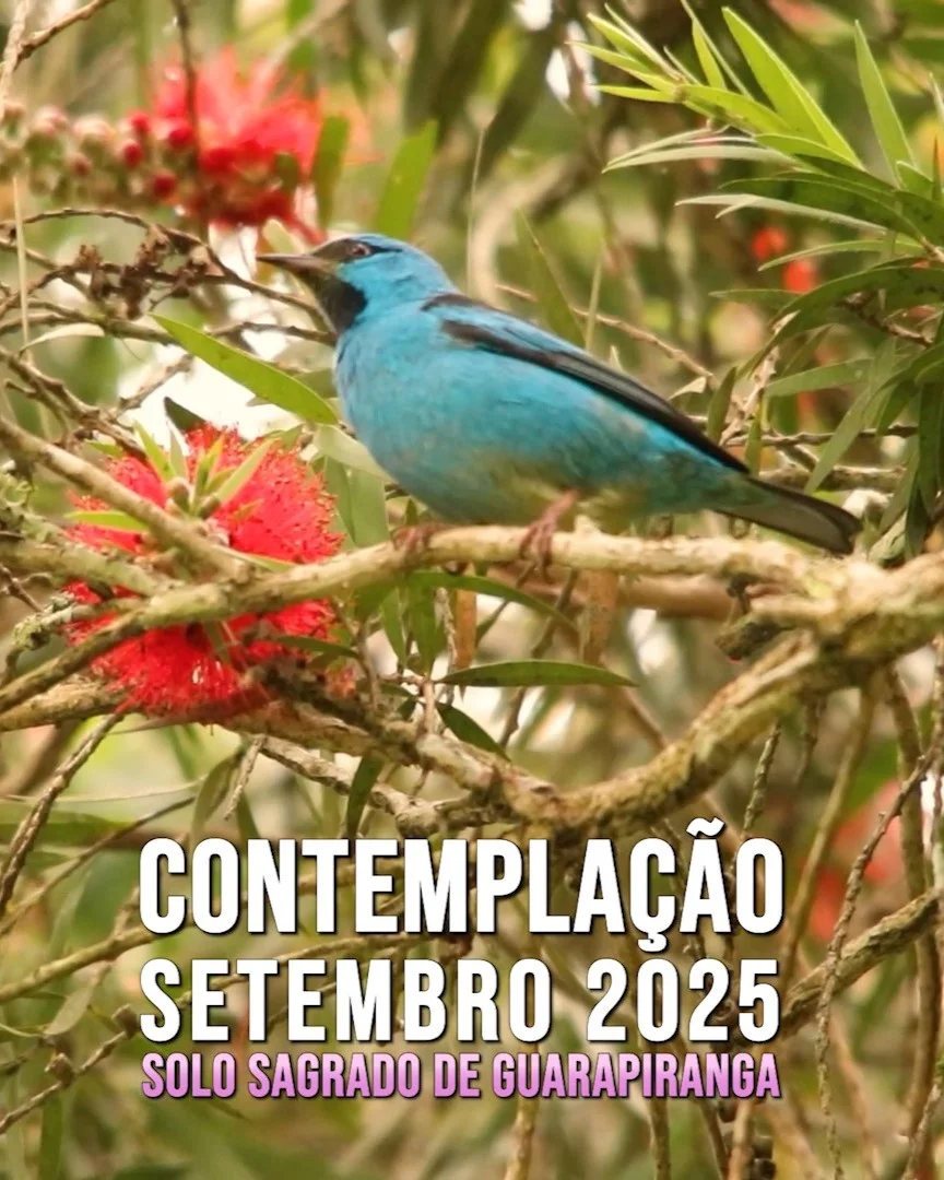 Capa do vídeo “Contemplação do mês de Setembro de 2025 | Solo Sagrado de Guarapiranga”