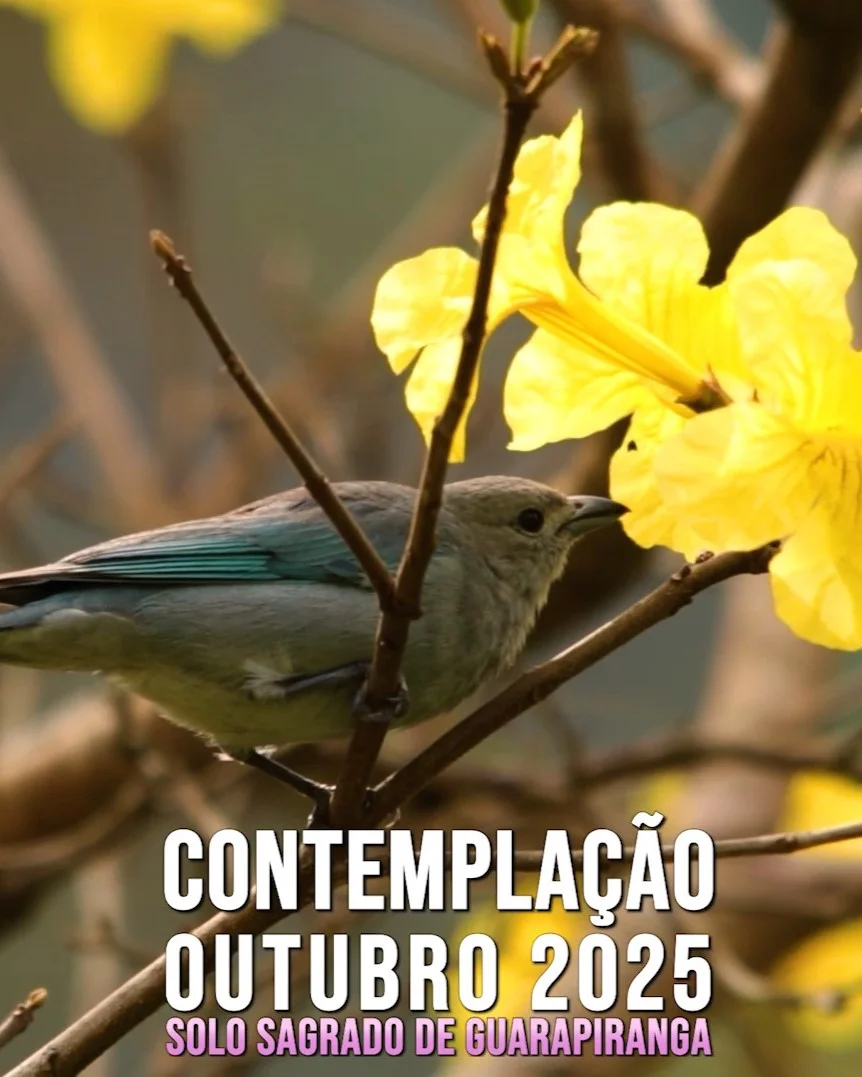 Capa do vídeo “Contemplação do mês de Outubro de 2025 | Solo Sagrado de Guarapiranga”